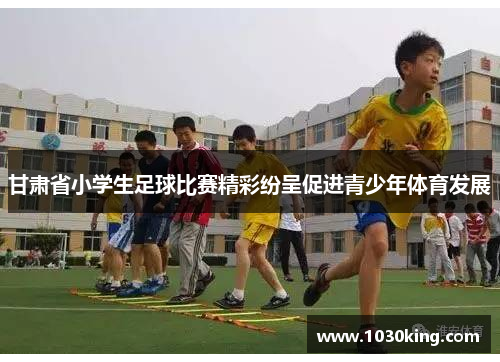 甘肃省小学生足球比赛精彩纷呈促进青少年体育发展