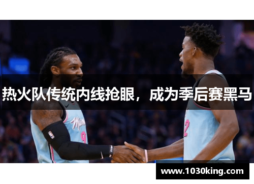 热火队传统内线抢眼，成为季后赛黑马