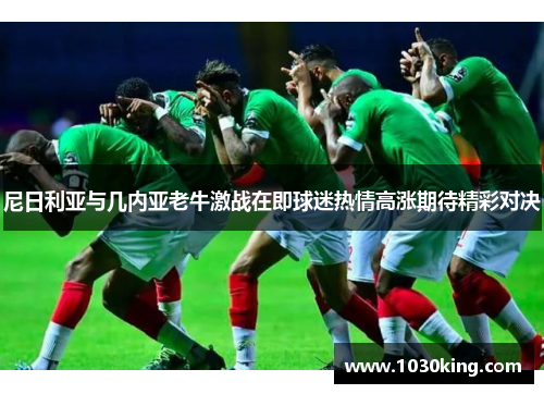 尼日利亚与几内亚老牛激战在即球迷热情高涨期待精彩对决